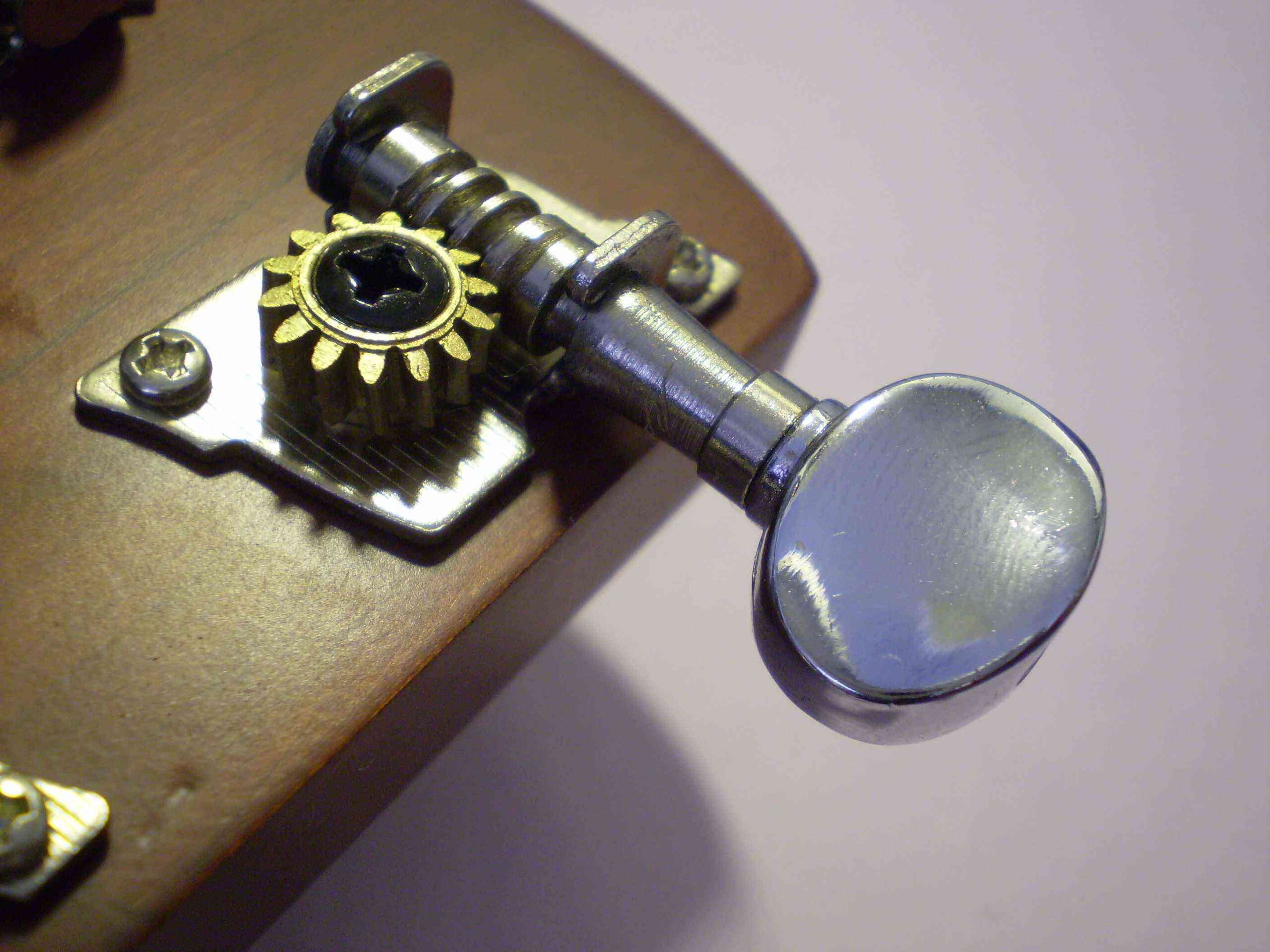 Guitar tuning peg worm gear driving the string post